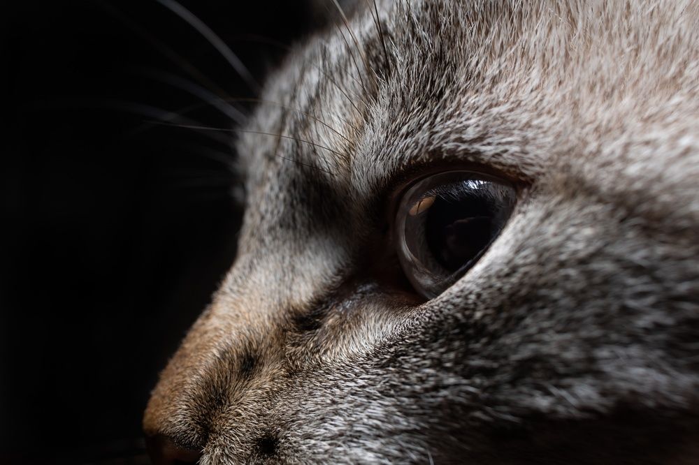 Photograph by Andrea