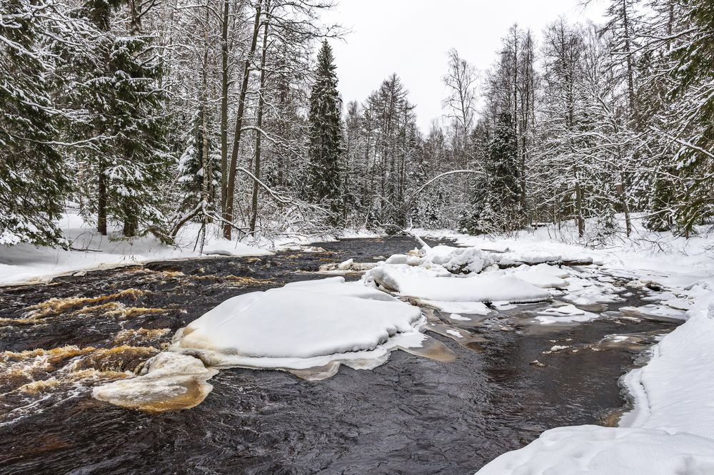 Photograph by Максим Сорокин