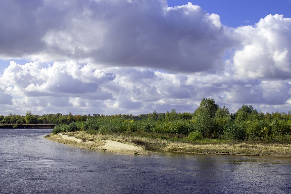 Фотография автора Андрей Гордиенко
