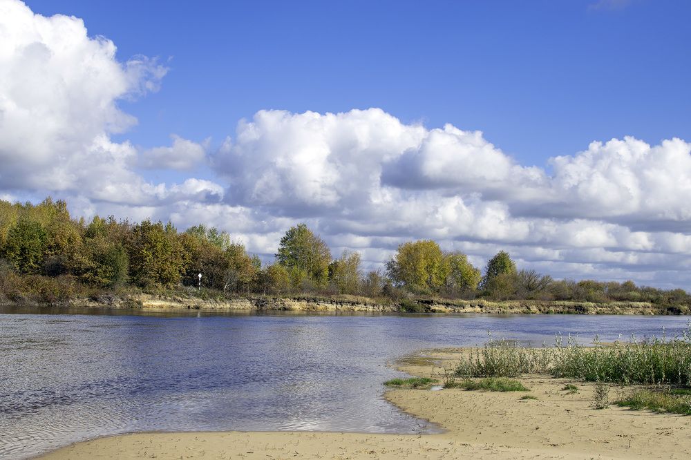 Фотография автора Андрей Гордиенко