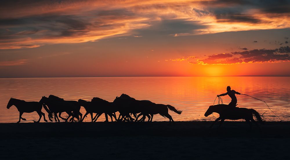Photograph by Erdenebulgan Mongolia