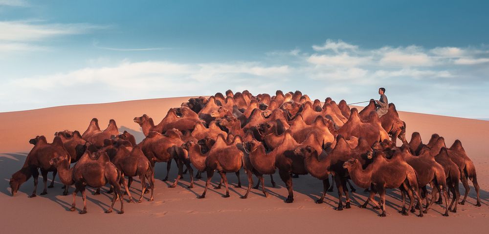 Photograph by Erdenebulgan Mongolia