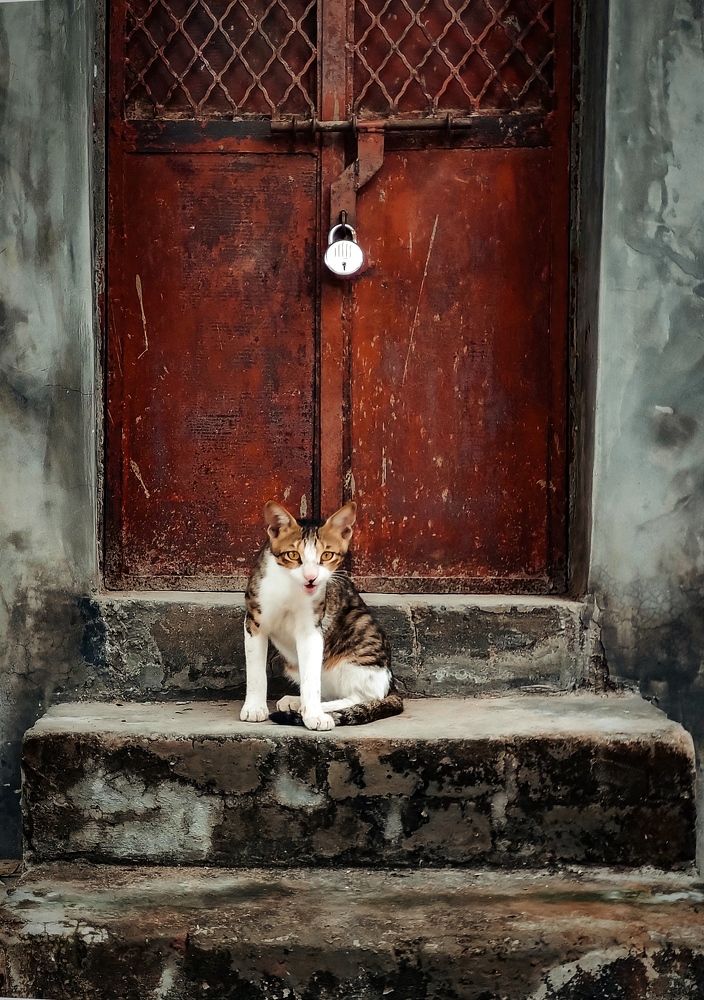 Photograph by Vicky Sadhu