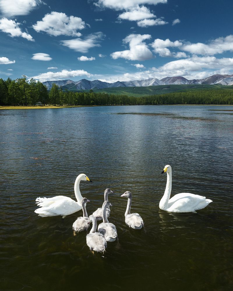 Photograph by Erdenebulgan Mongolia