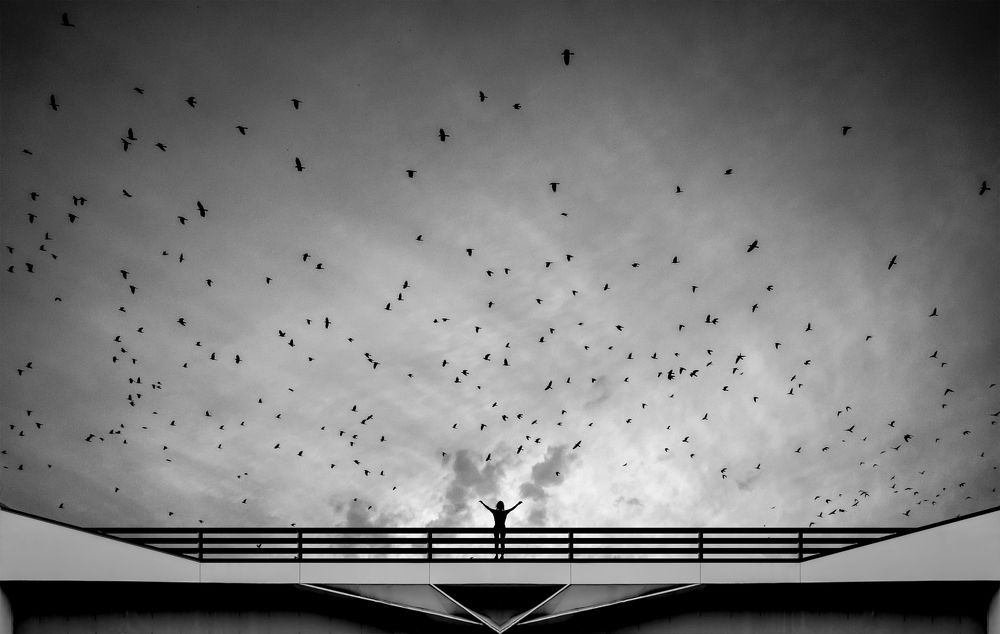 Фотография автора arastoo qadermazi