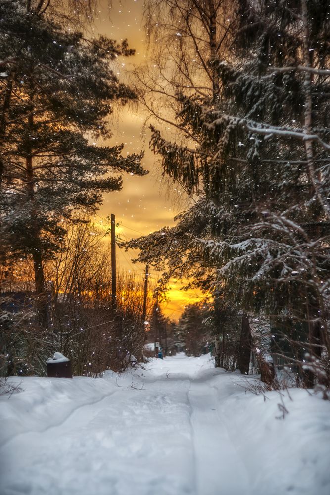 Photograph by Ксения Базарова