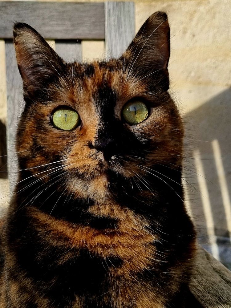 Photograph by Hanna Bourne