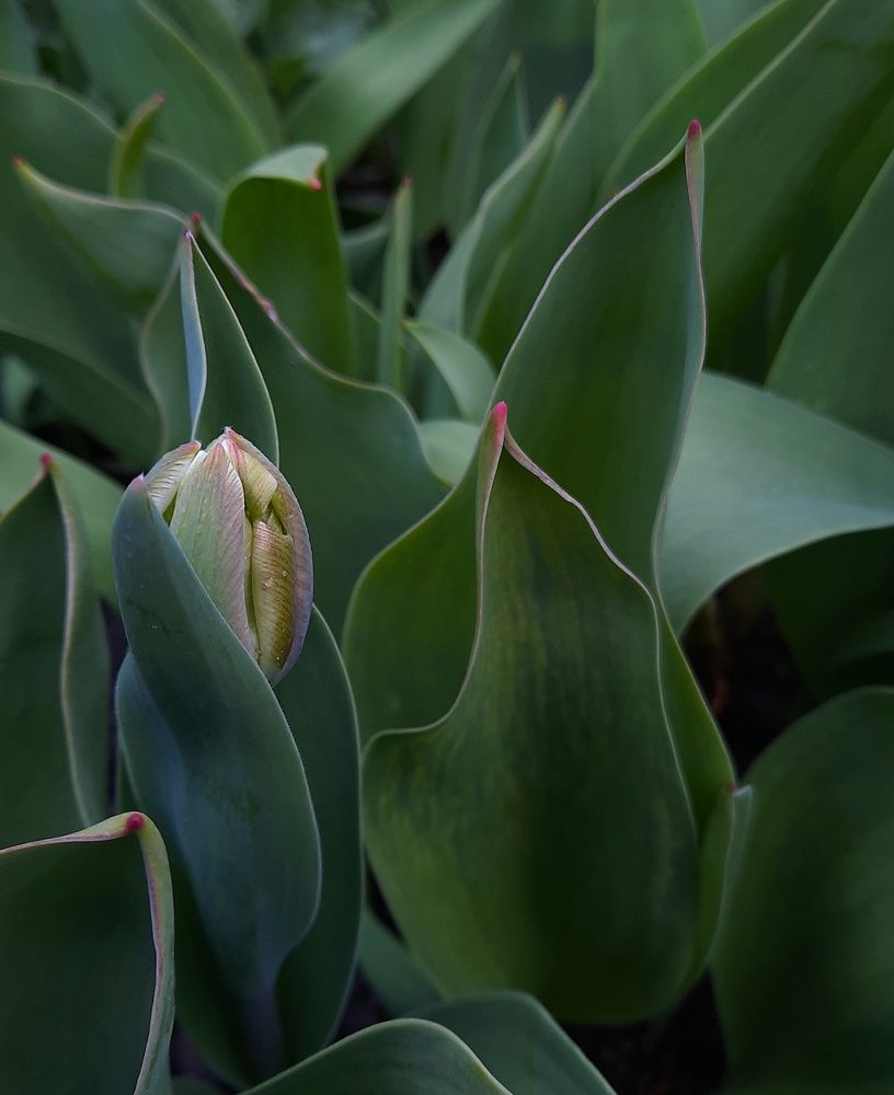 Фотография автора Татьяна