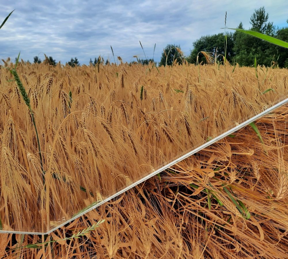 Фотография автора Татьяна