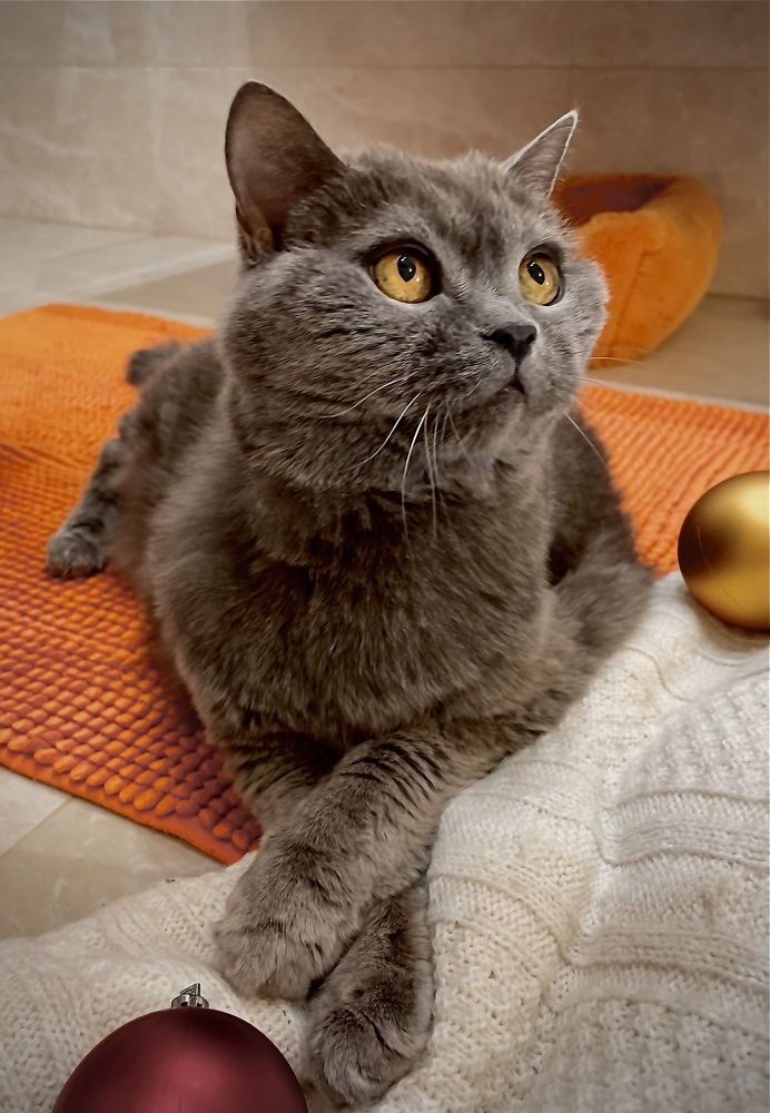 Фотография автора Рамзия Хисамутдинова