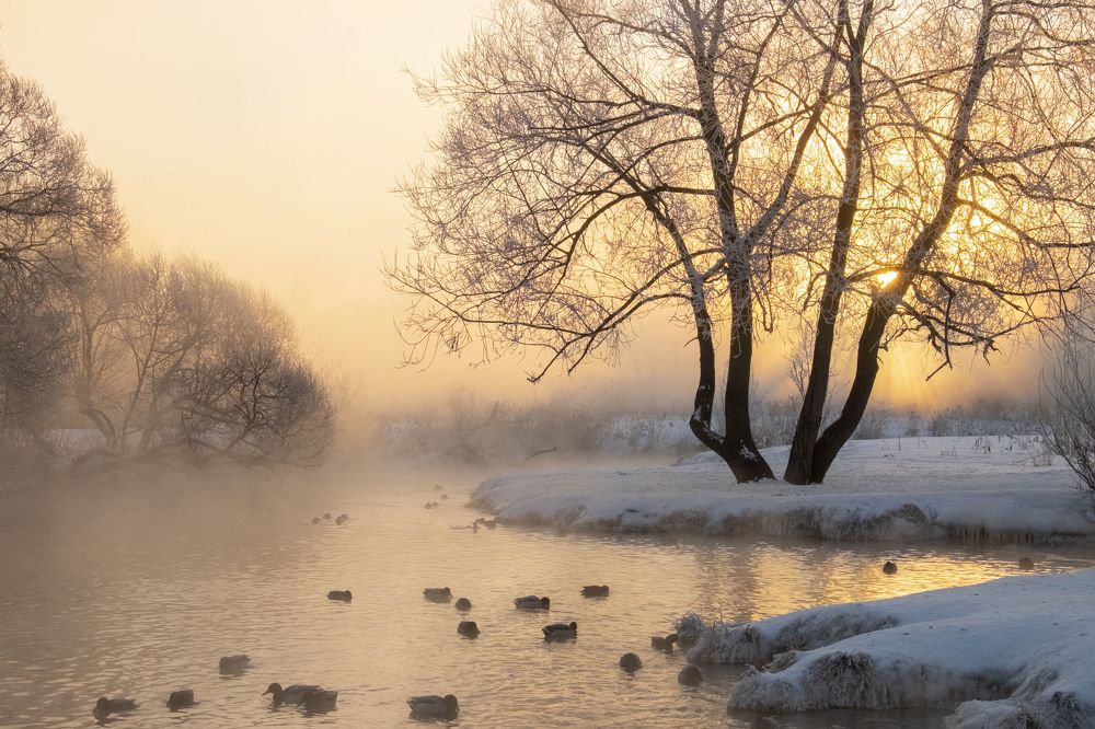 Photograph by Елена Маракулина