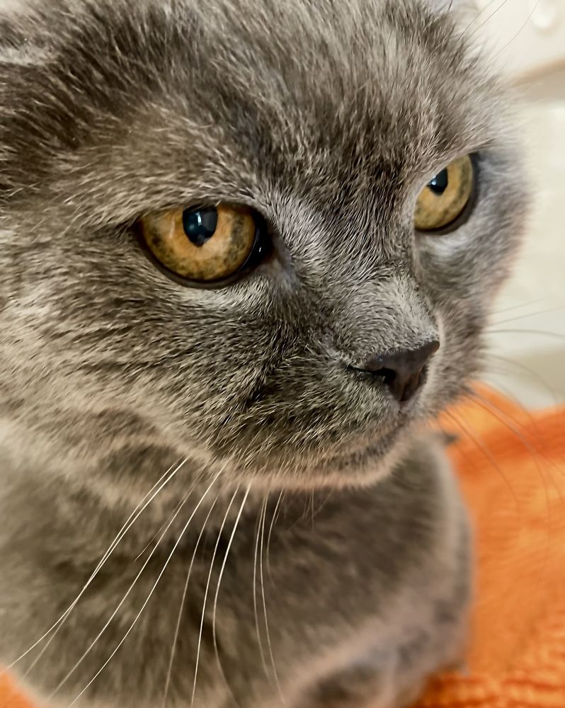 Фотография автора Рамзия Хисамутдинова