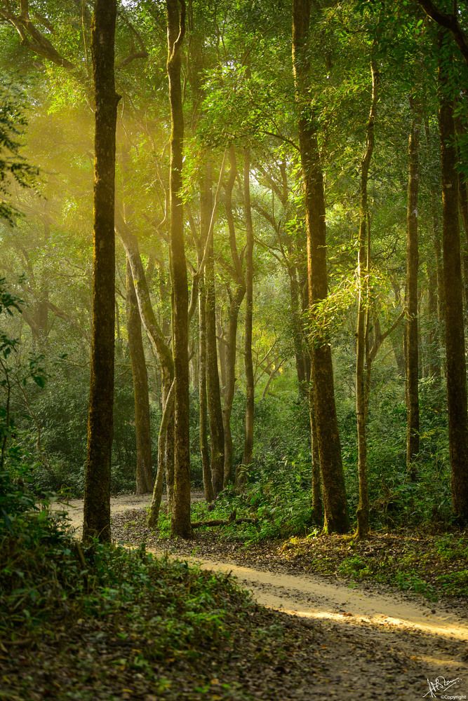 Photograph by Atul Mohan