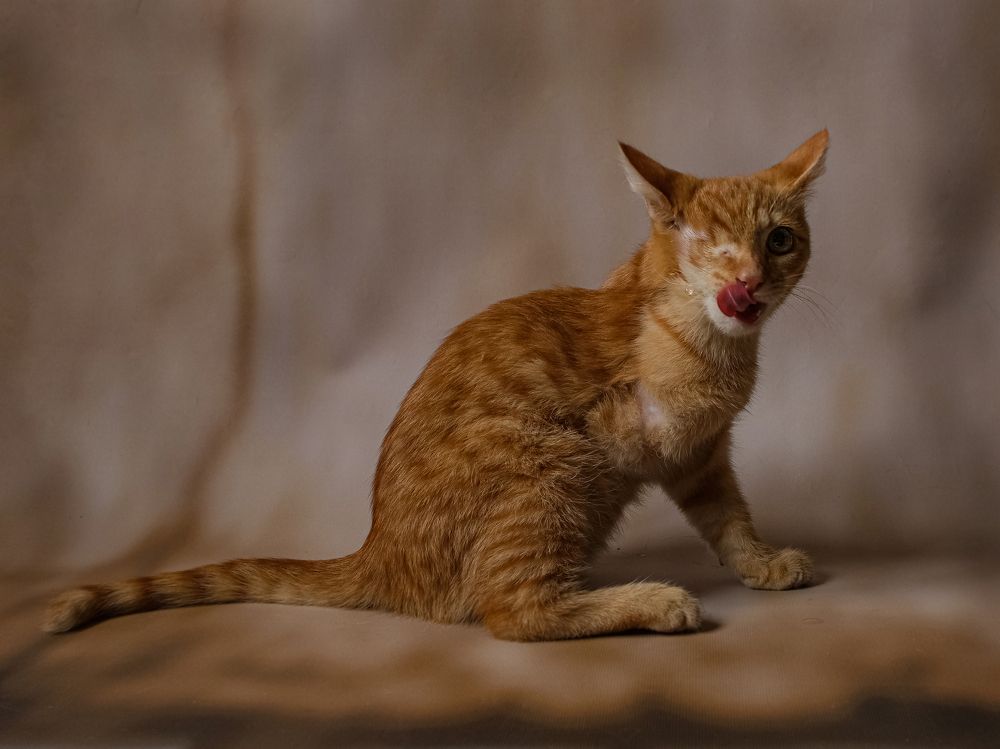 Photograph by Юлия Ляшенко