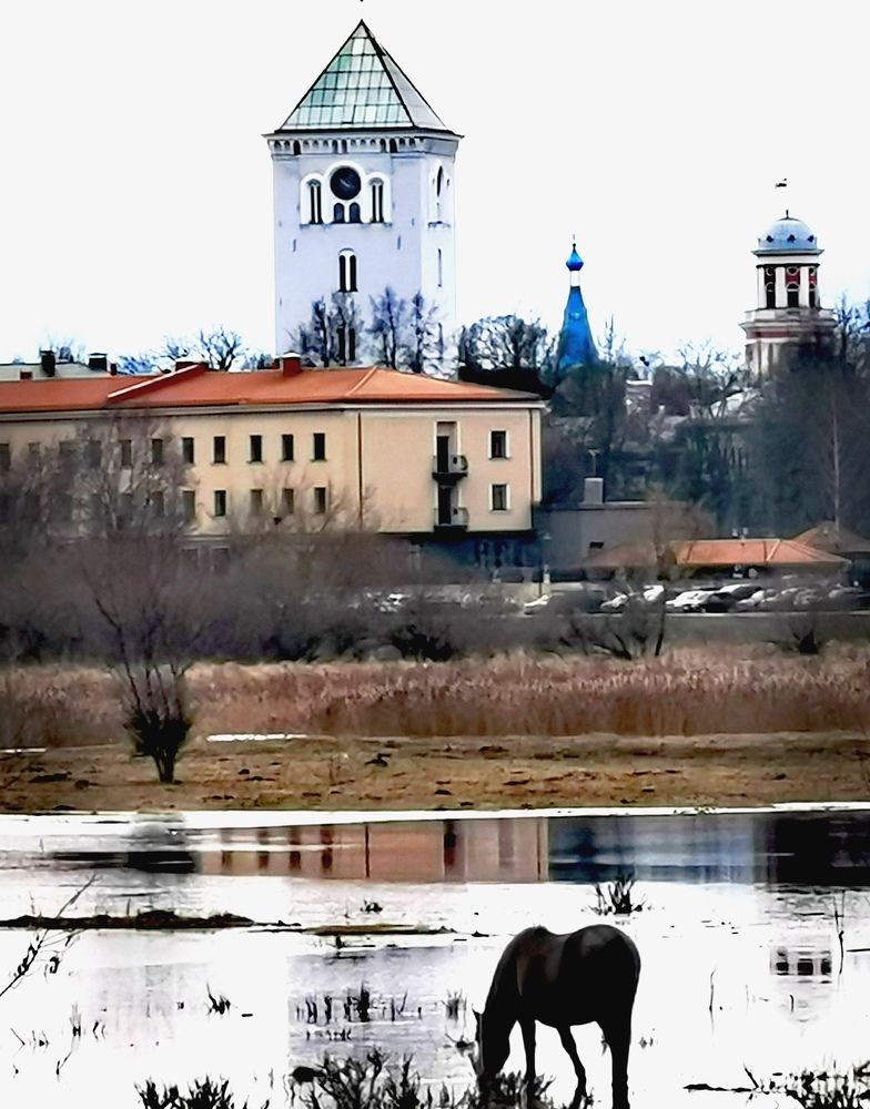 Photograph by Raitis Miksons