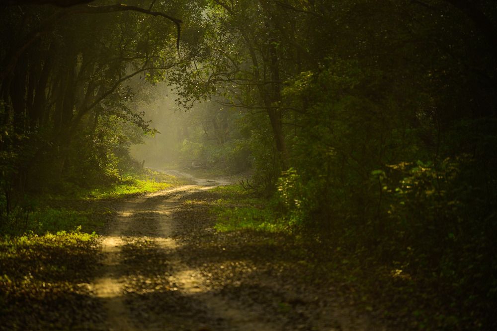 Photograph by Atul Mohan