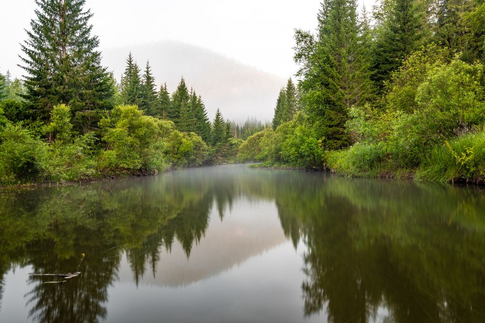 Photograph by Виктор