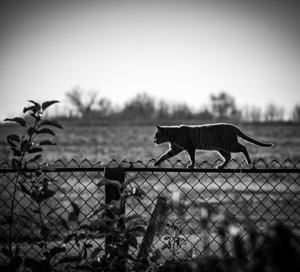 Пошла по делам