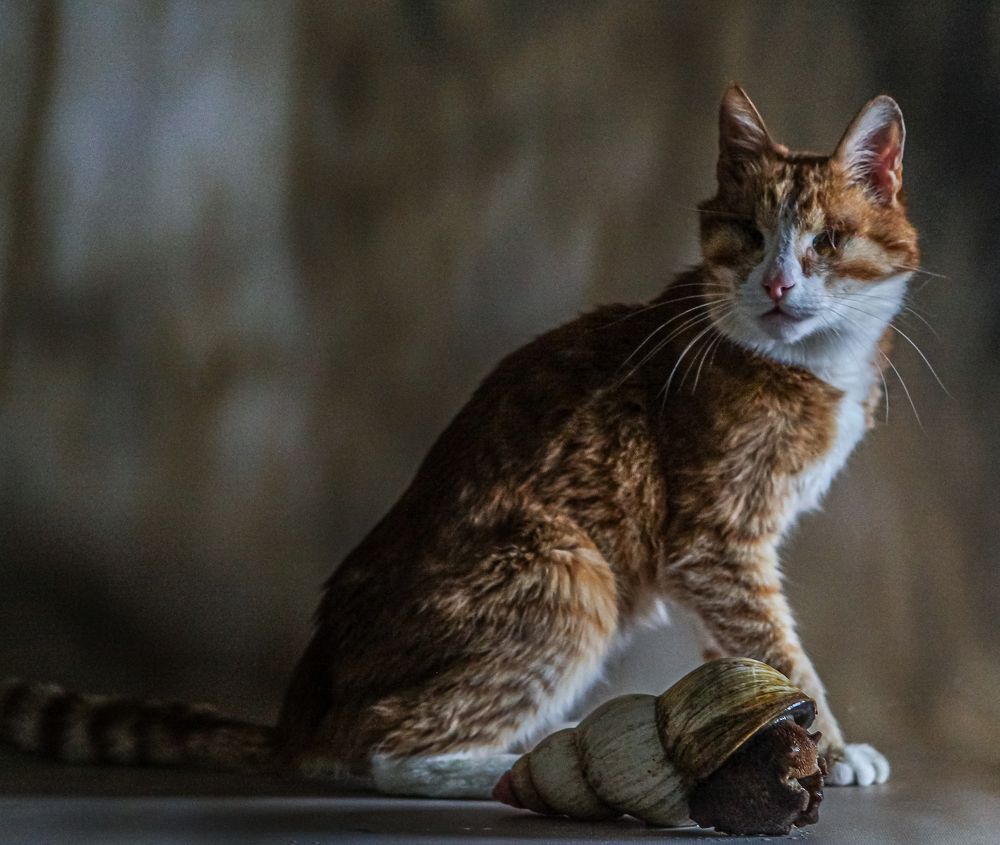 Дышать на ладан