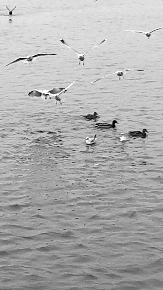 Фотография автора Ольга Мусина