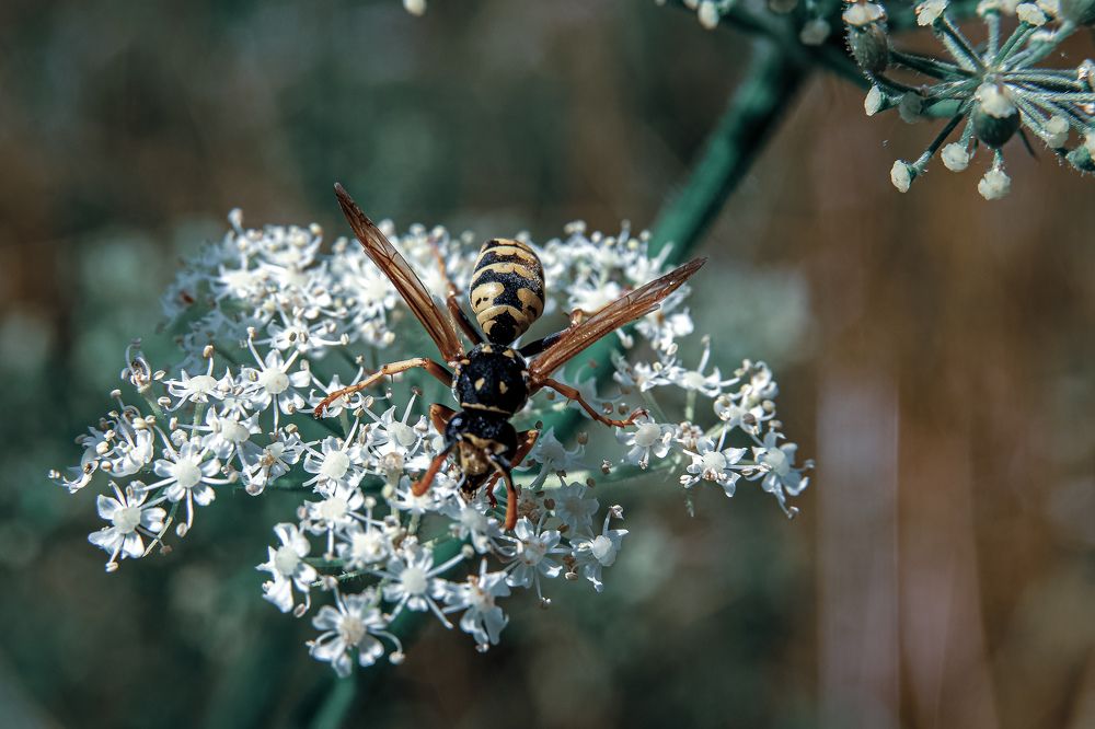 Photograph by Vitalii Kaznin