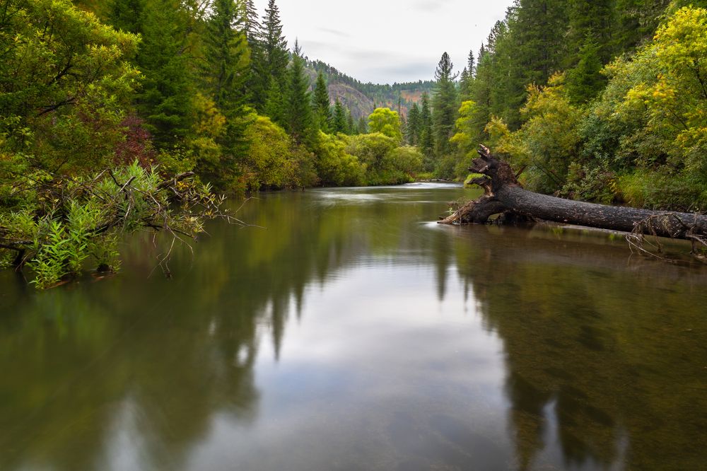 Photograph by Виктор