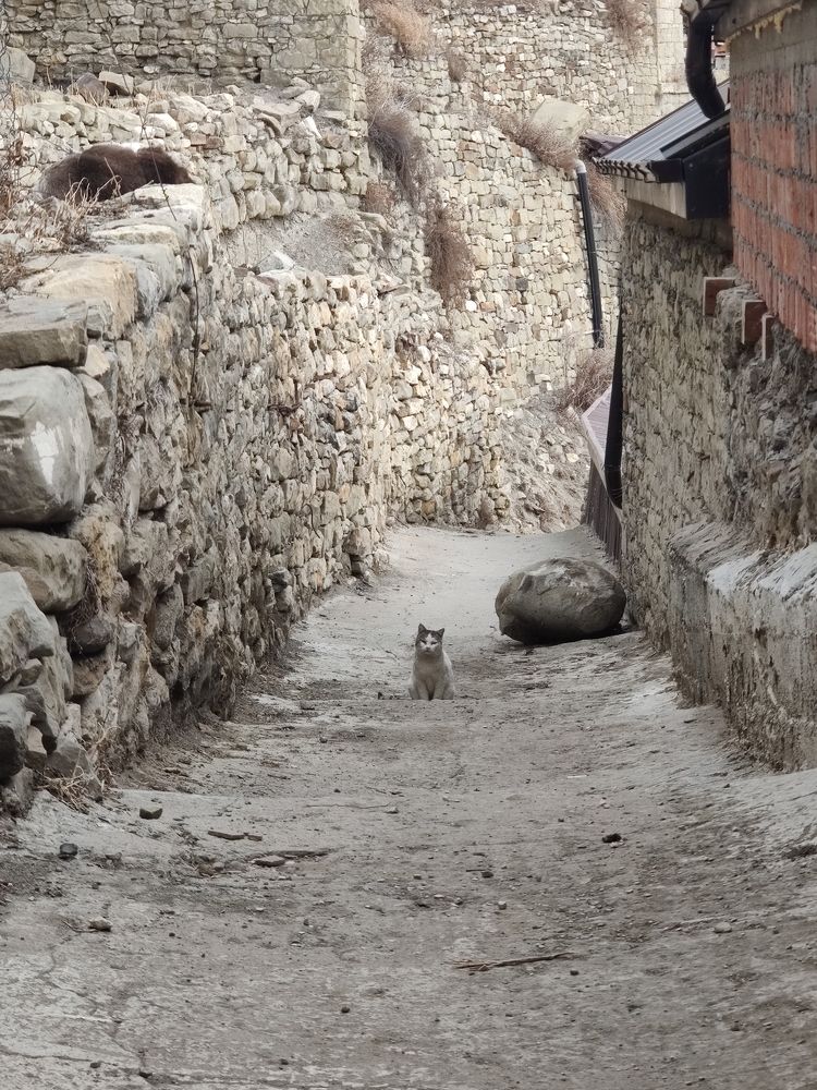 Photograph by Дмитрий Синицын