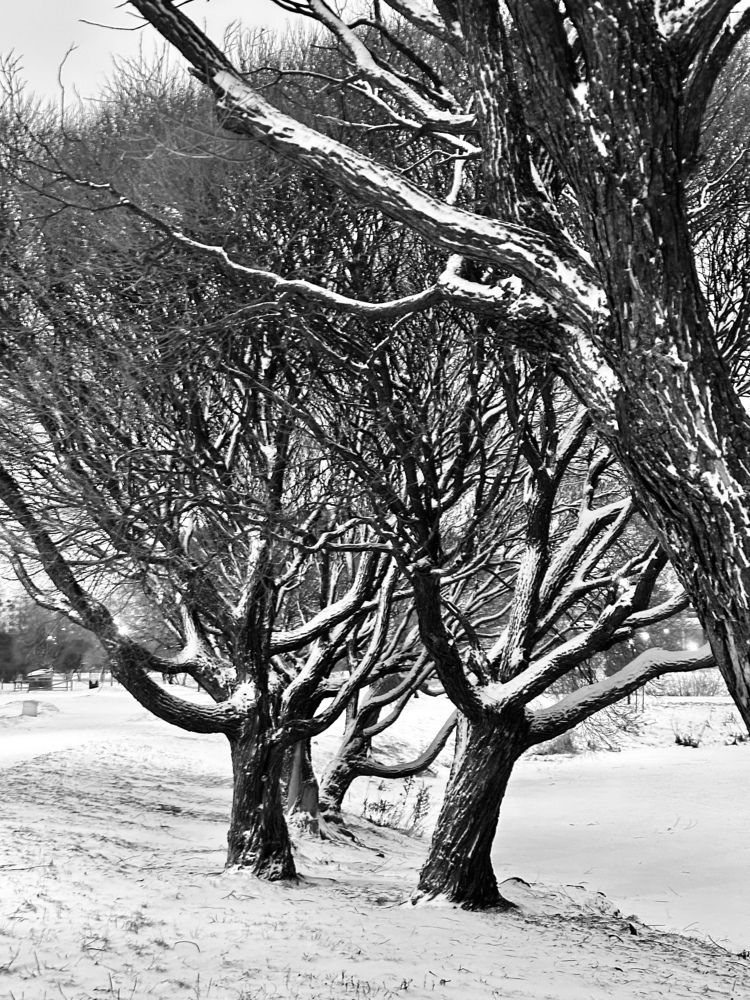 Photograph by Наталья Жигелис