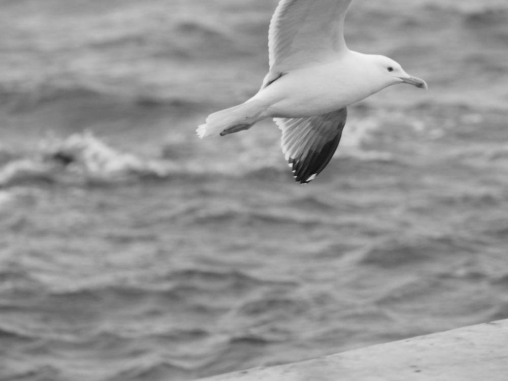 Photograph by Сергей Борисов