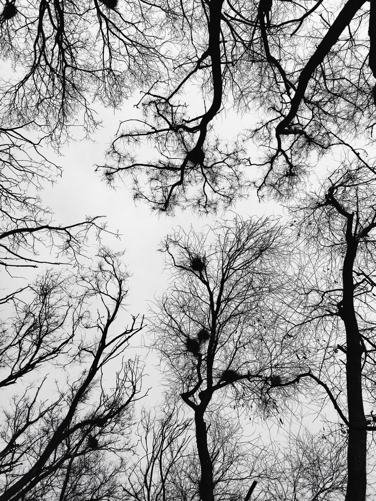 Photograph by Олеся Белова