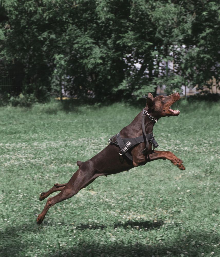 Photograph by Елена Иванова