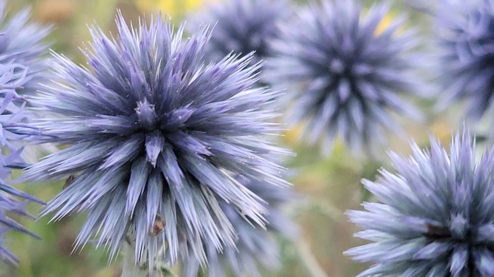 Фотография автора Kate Fontaine