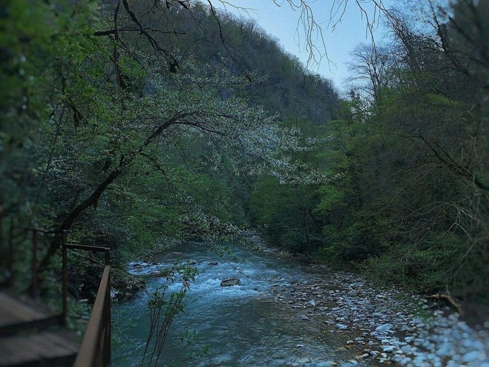 Фотография автора Дмитрий Петров