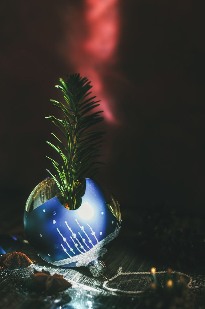 Photograph by Яна Резник