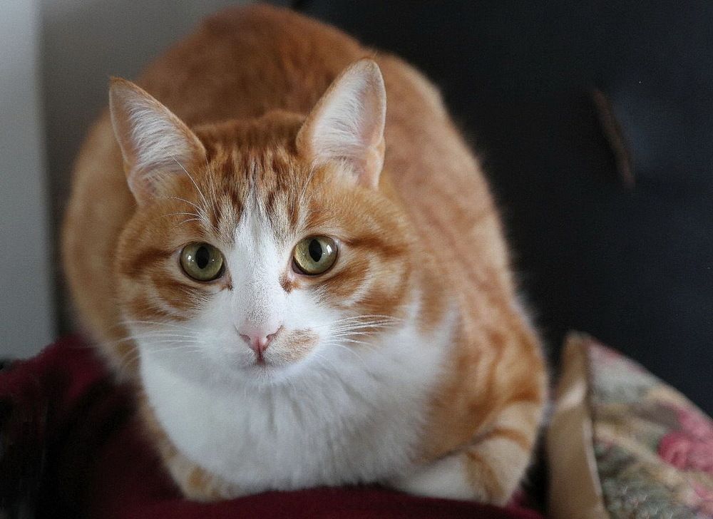 Photograph by Наталья Задерновская