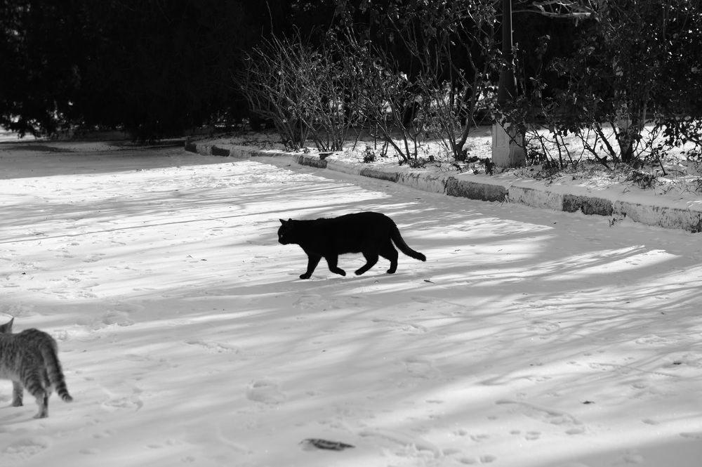 Photograph by Сергей Борисов