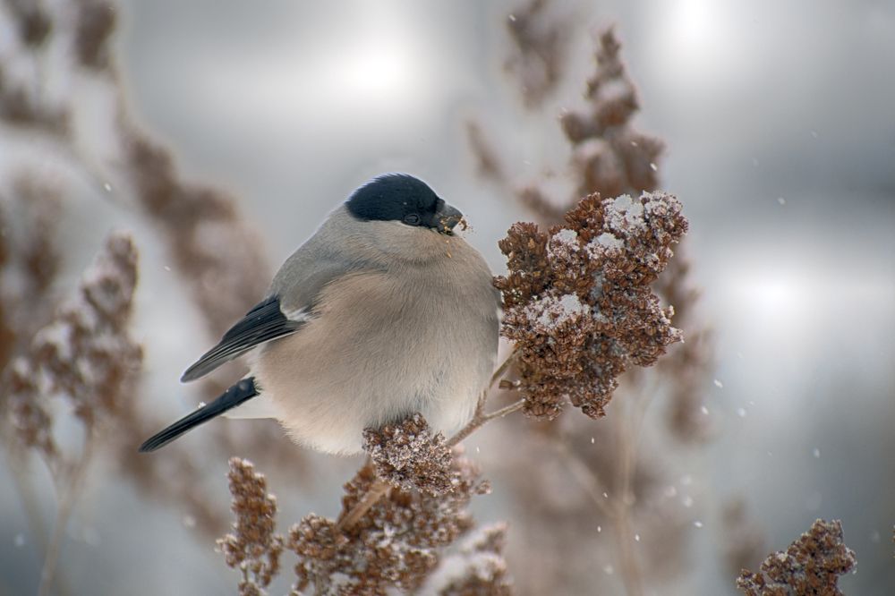 Photograph by Таипов Ильгиз