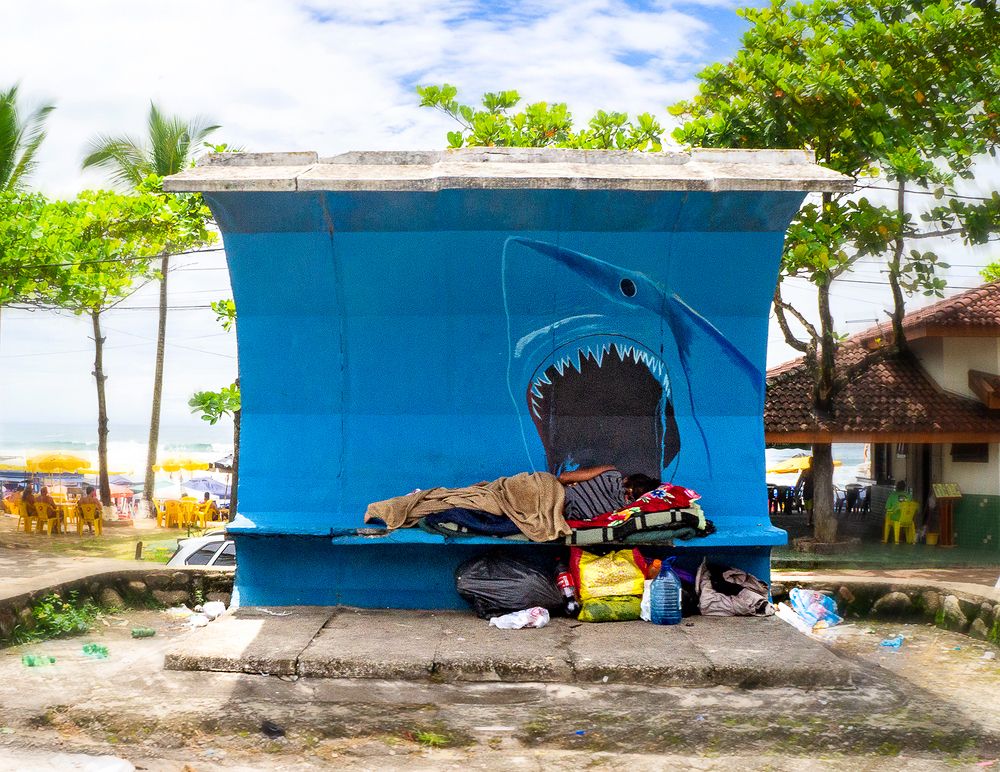 Photograph by Joao R Cortez