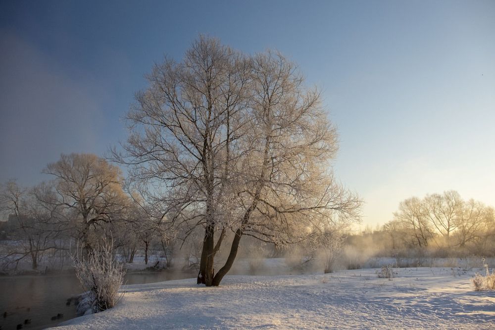 Photograph by Елена Маракулина