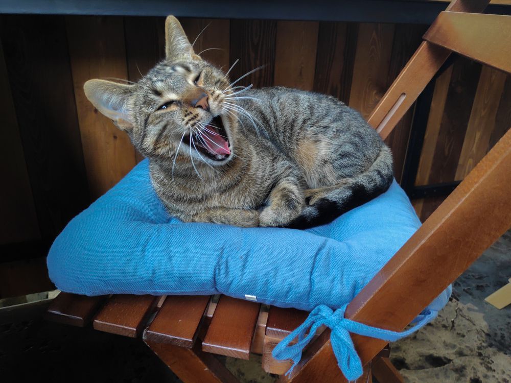 Photograph by Евгений Симион