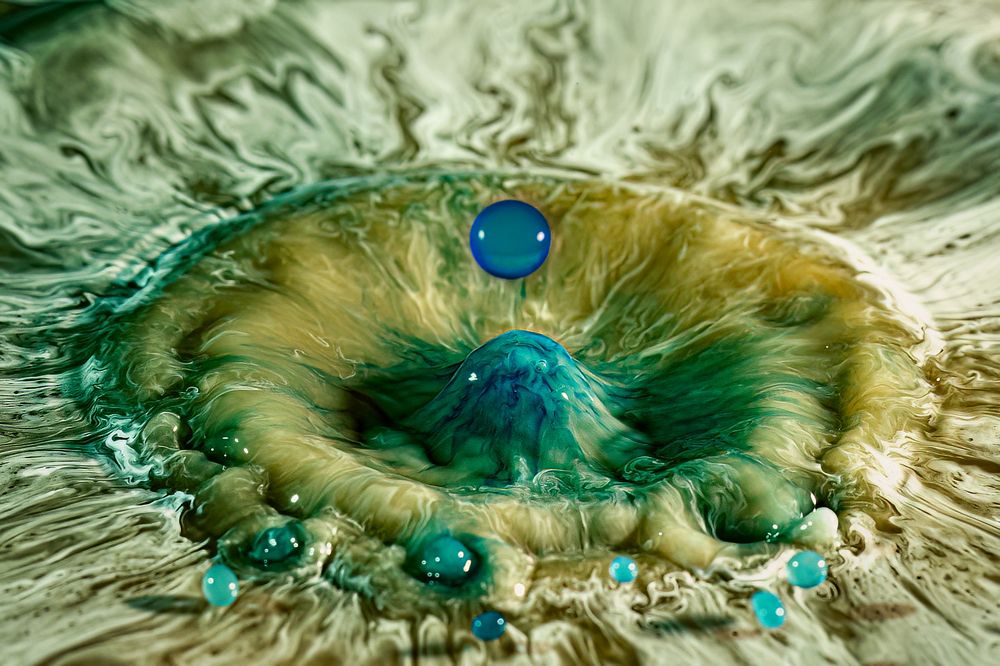 Photograph by Joao R Cortez