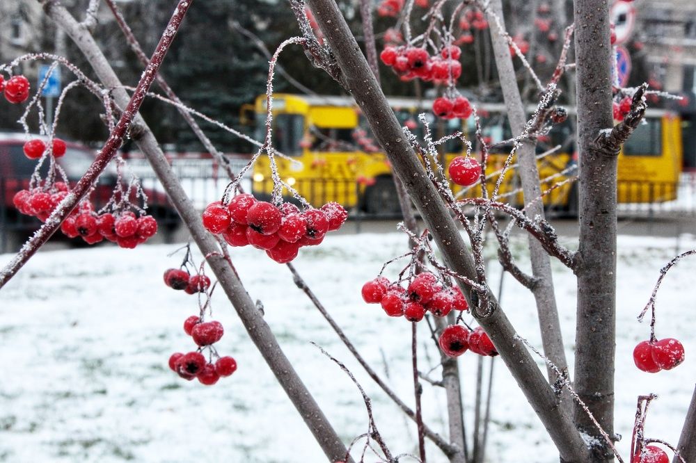 Photograph by Мария Андреева