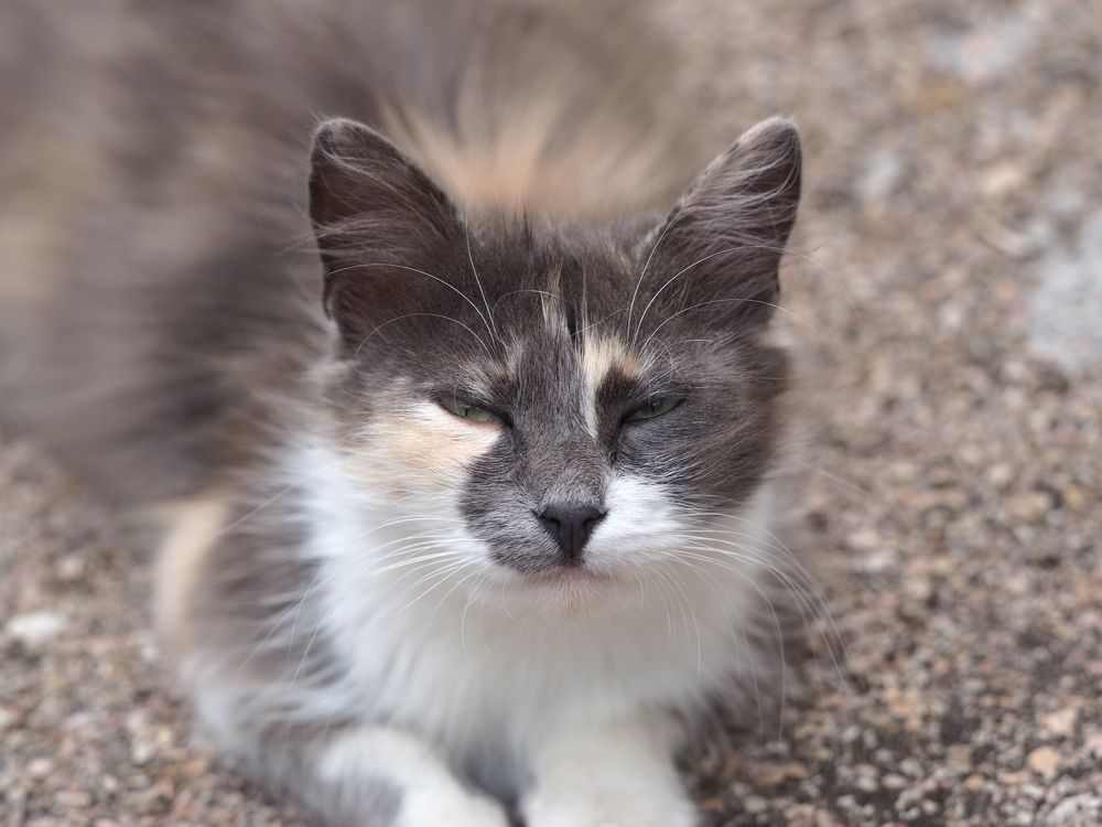 Photograph by Сергей Борисов