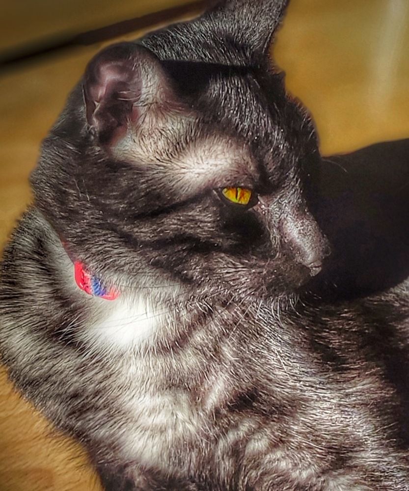 Photograph by Виктория Косинская