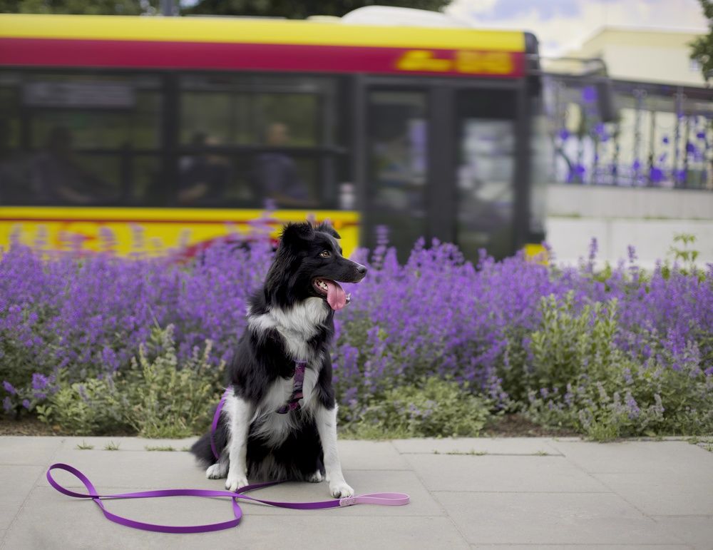 Photograph by Monika Maciejewska