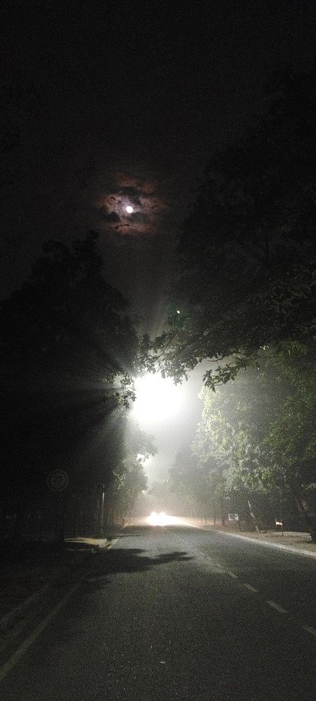 Photo #8804588