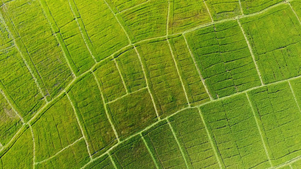 Photograph by Павел Минкевич