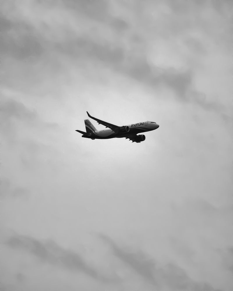 Photograph by Vinoth