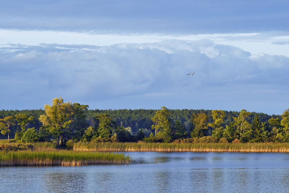 Фотография автора Alexey Drozdov