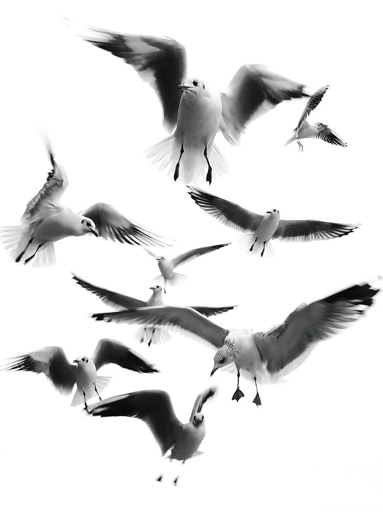 Photograph by Марина Хохрякова